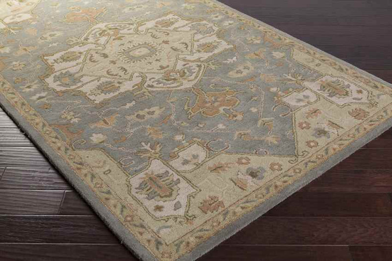 Roblin Traditional Medium Gray Area Rug