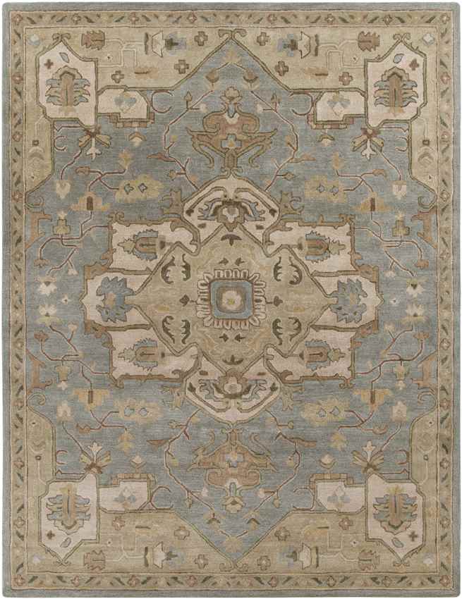 Roblin Traditional Medium Gray Area Rug