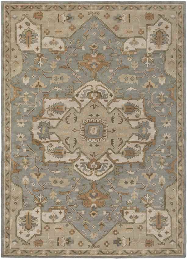 Roblin Traditional Medium Gray Area Rug