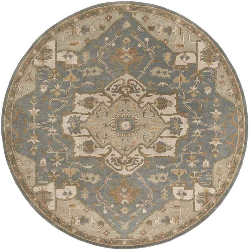 Roblin Traditional Medium Gray Area Rug