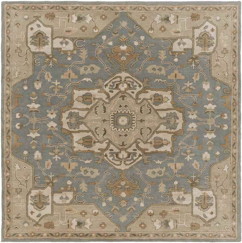 Roblin Traditional Medium Gray Area Rug