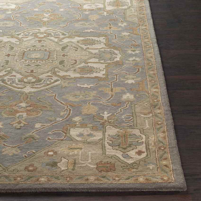 Roblin Traditional Medium Gray Area Rug