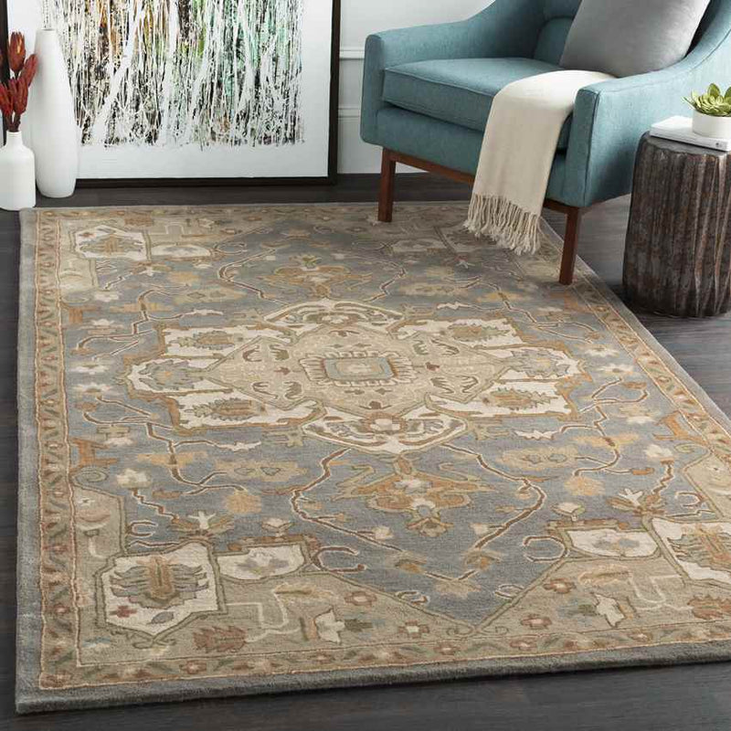 Roblin Traditional Medium Gray Area Rug