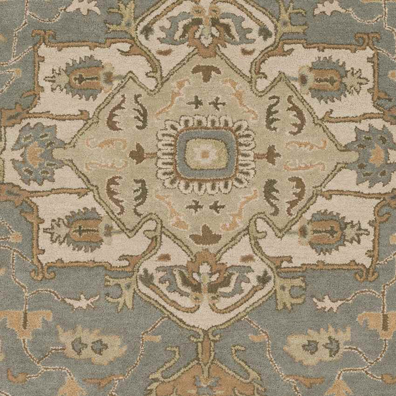 Roblin Traditional Medium Gray Area Rug