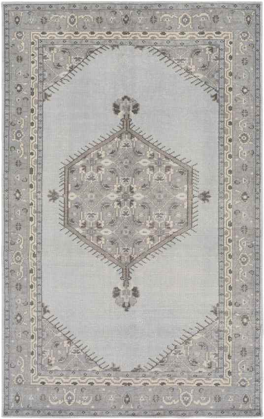 Chieti Traditional Light Gray Area Rug