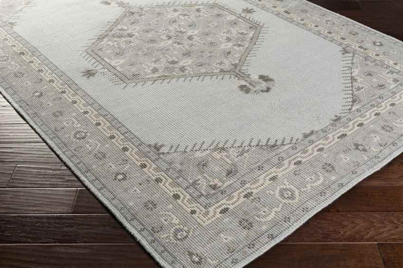 Chieti Traditional Light Gray Area Rug