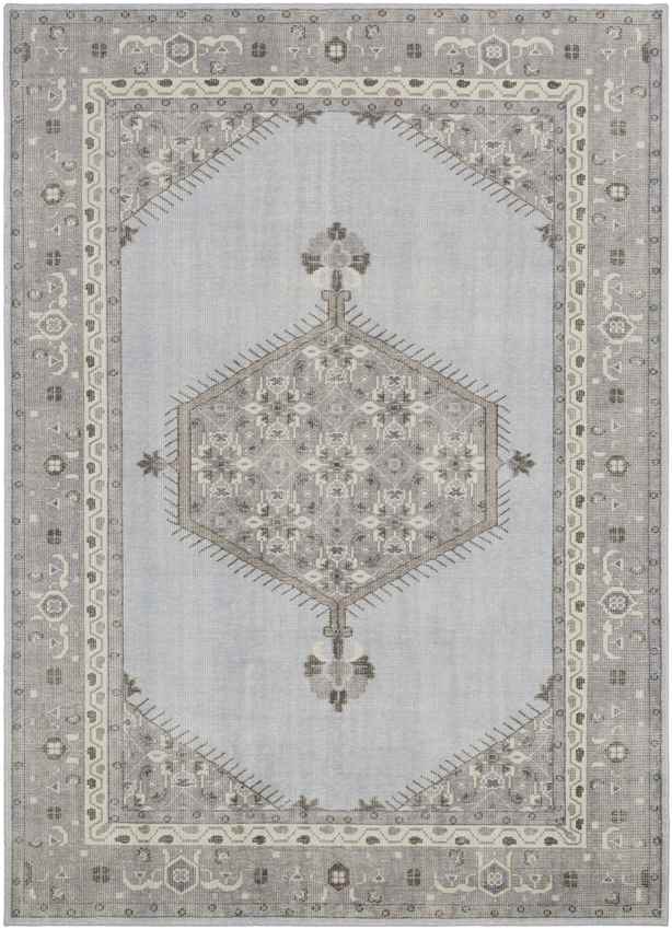 Chieti Traditional Light Gray Area Rug