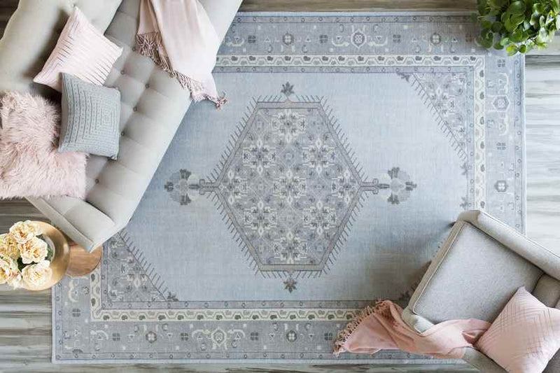 Chieti Traditional Light Gray Area Rug