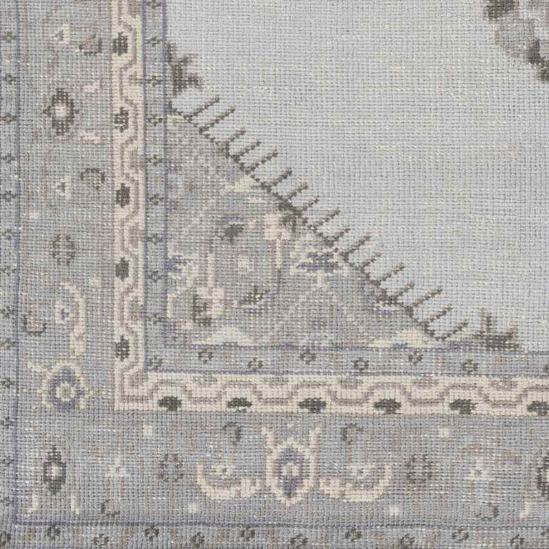 Chieti Traditional Light Gray Area Rug