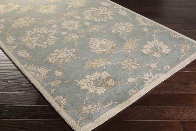 Beresford Traditional Medium Gray Area Rug