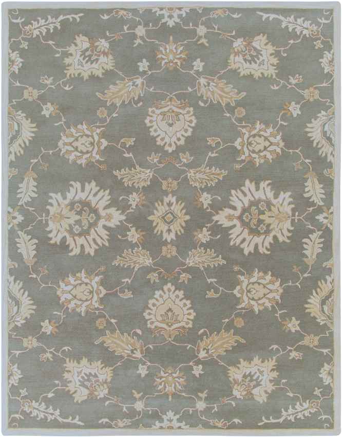 Beresford Traditional Medium Gray Area Rug