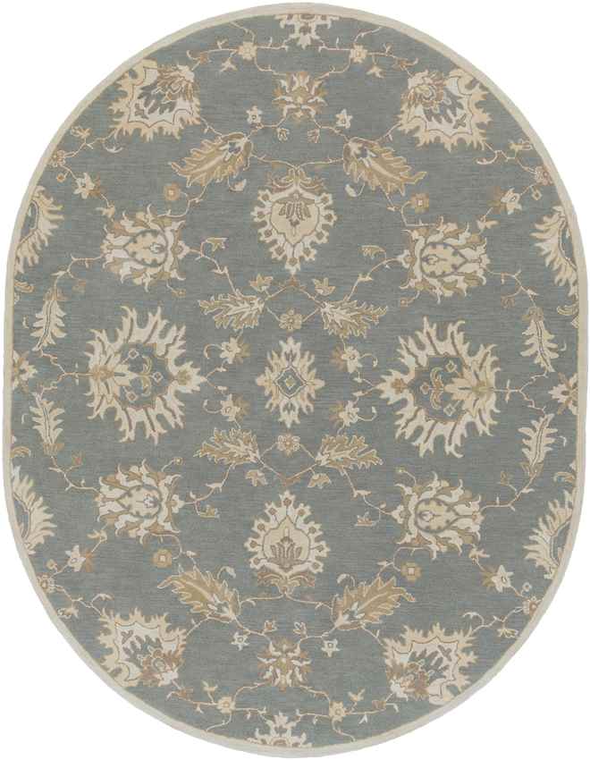 Beresford Traditional Medium Gray Area Rug