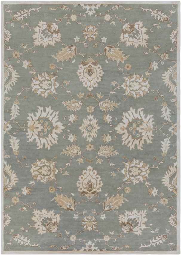 Beresford Traditional Medium Gray Area Rug