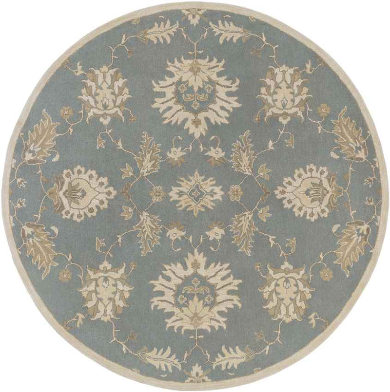 Beresford Traditional Medium Gray Area Rug