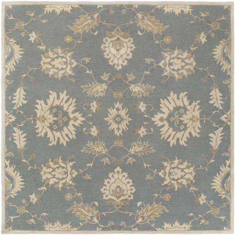 Beresford Traditional Medium Gray Area Rug