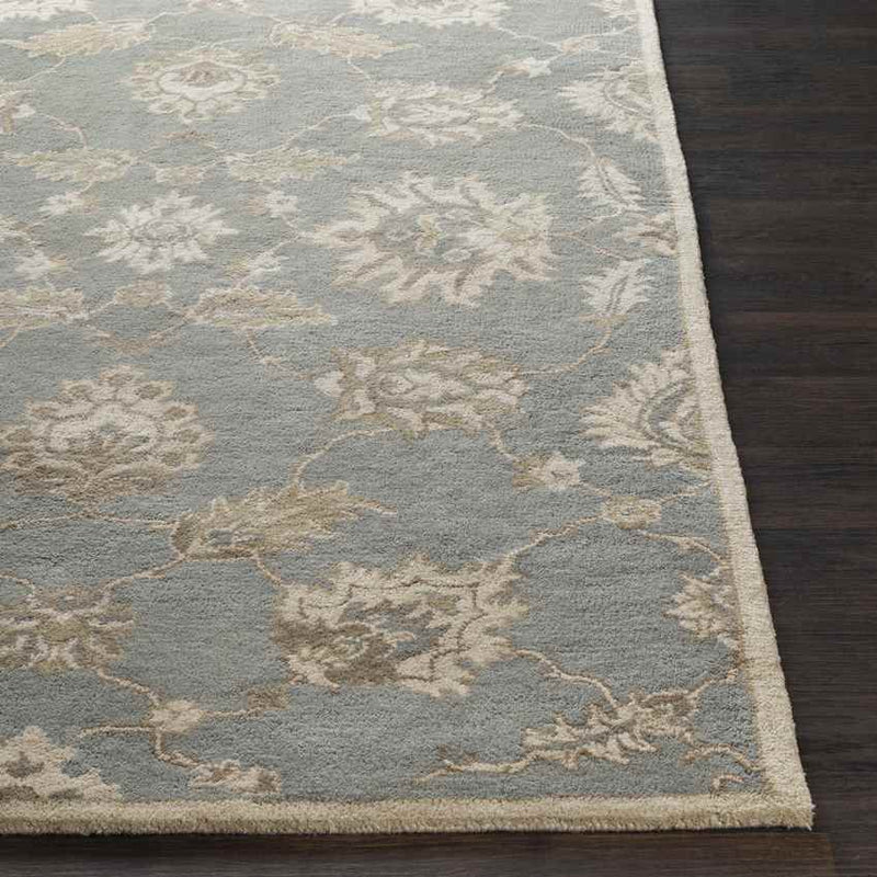 Beresford Traditional Medium Gray Area Rug