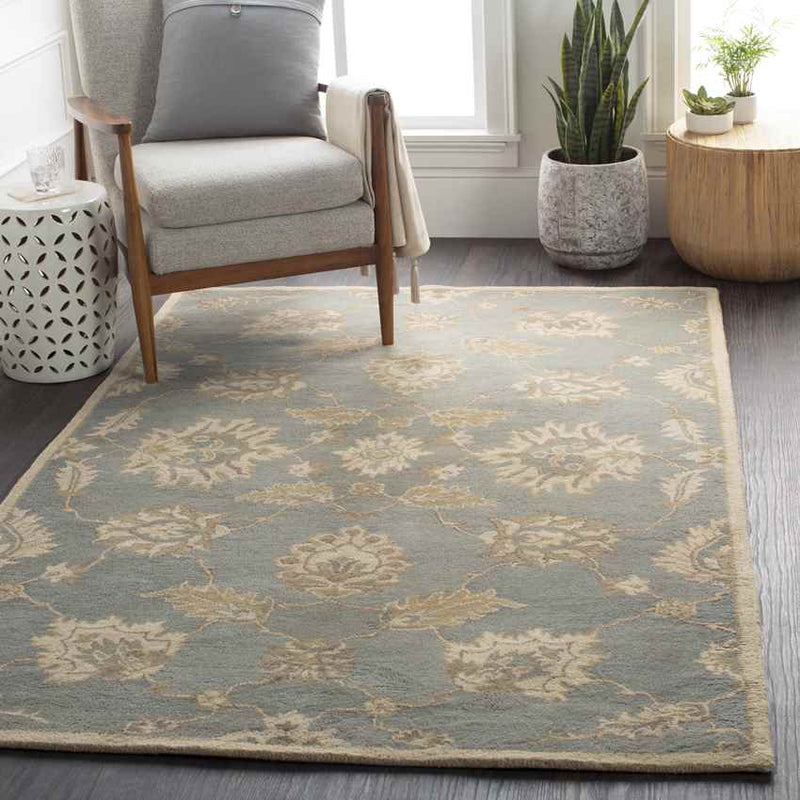 Beresford Traditional Medium Gray Area Rug