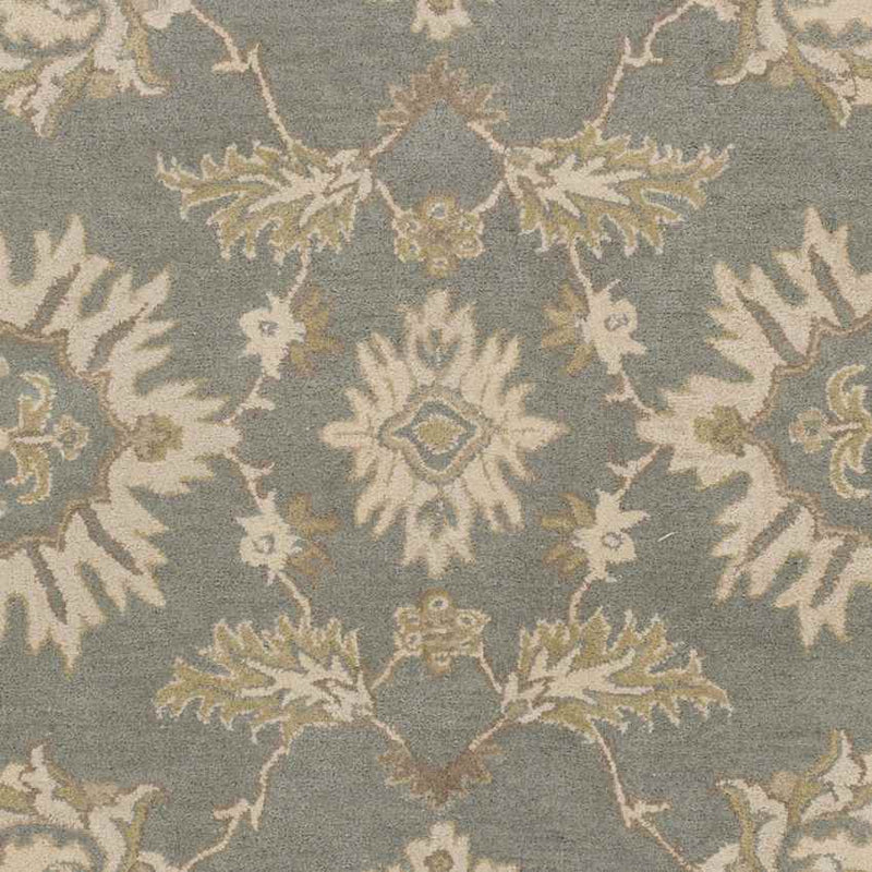 Beresford Traditional Medium Gray Area Rug