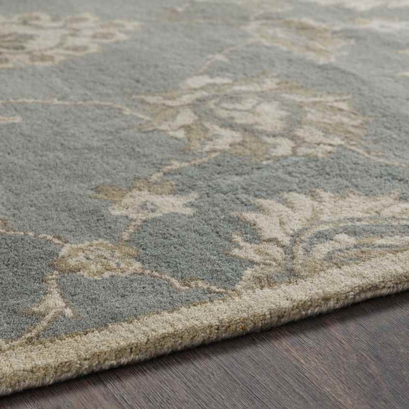 Beresford Traditional Medium Gray Area Rug