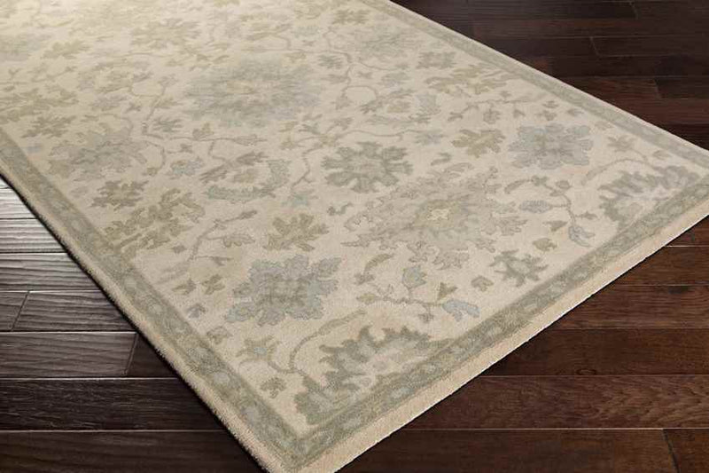 Ness Traditional Beige Area Rug