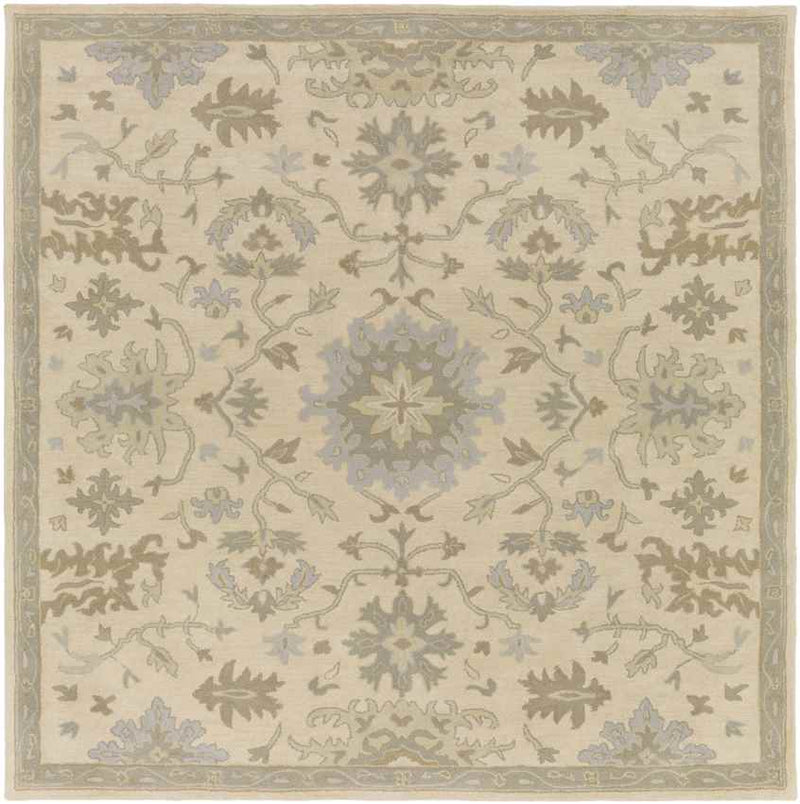 Ness Traditional Beige Area Rug