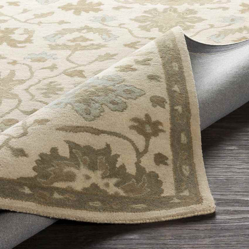 Ness Traditional Beige Area Rug