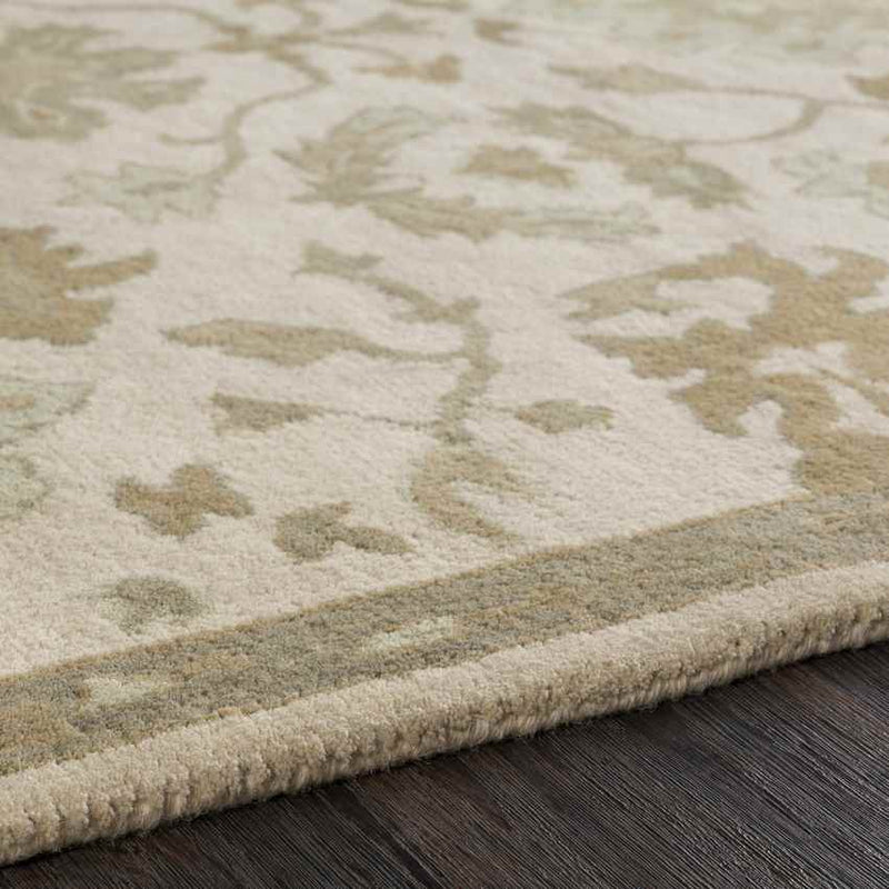 Ness Traditional Beige Area Rug