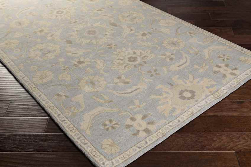 Caraquet Traditional Light Gray Area Rug