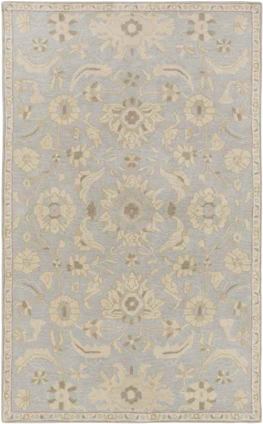 Caraquet Traditional Light Gray Area Rug