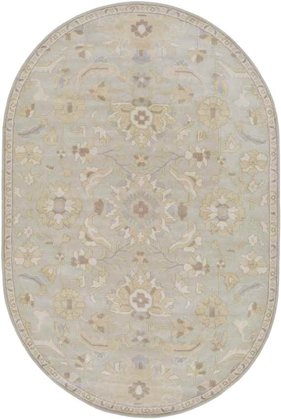 Caraquet Traditional Light Gray Area Rug