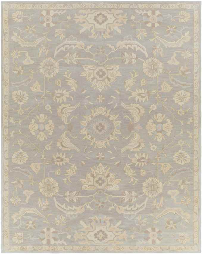 Caraquet Traditional Light Gray Area Rug