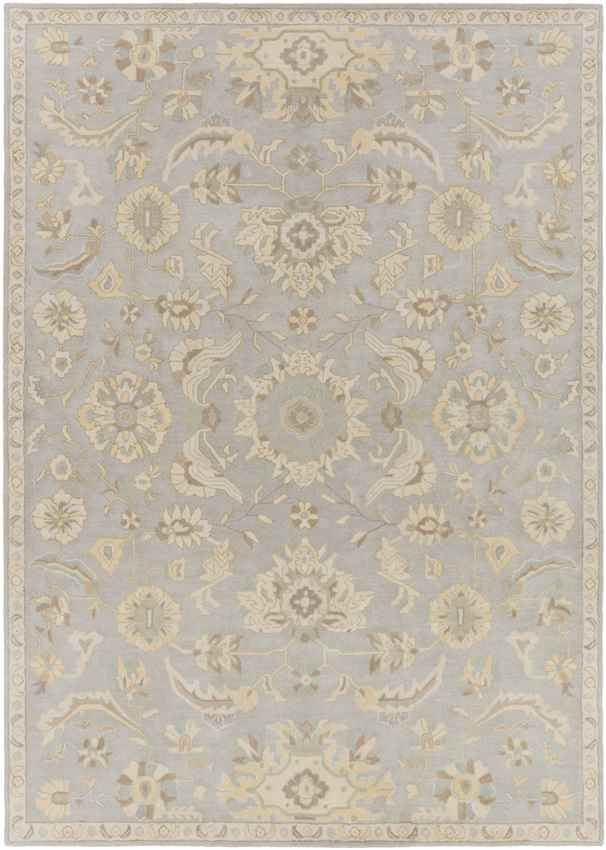 Caraquet Traditional Light Gray Area Rug