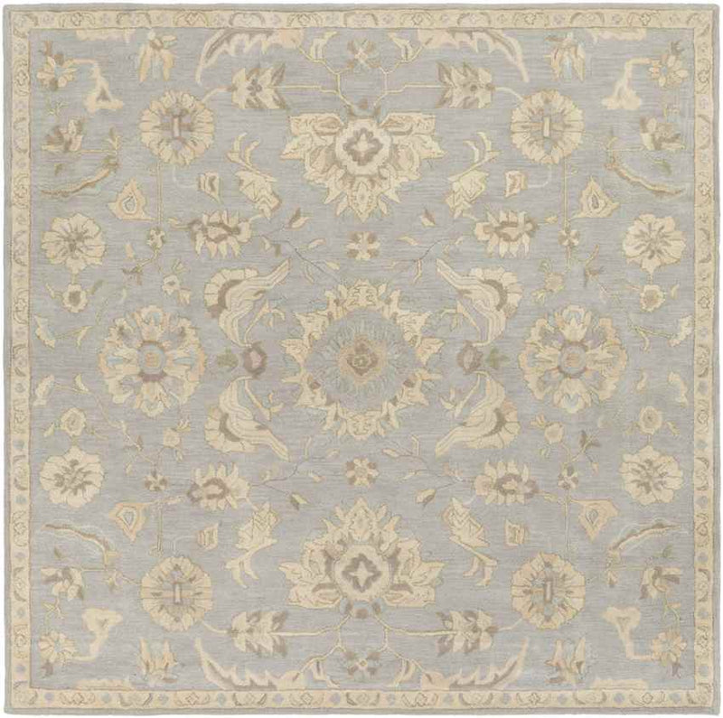 Caraquet Traditional Light Gray Area Rug