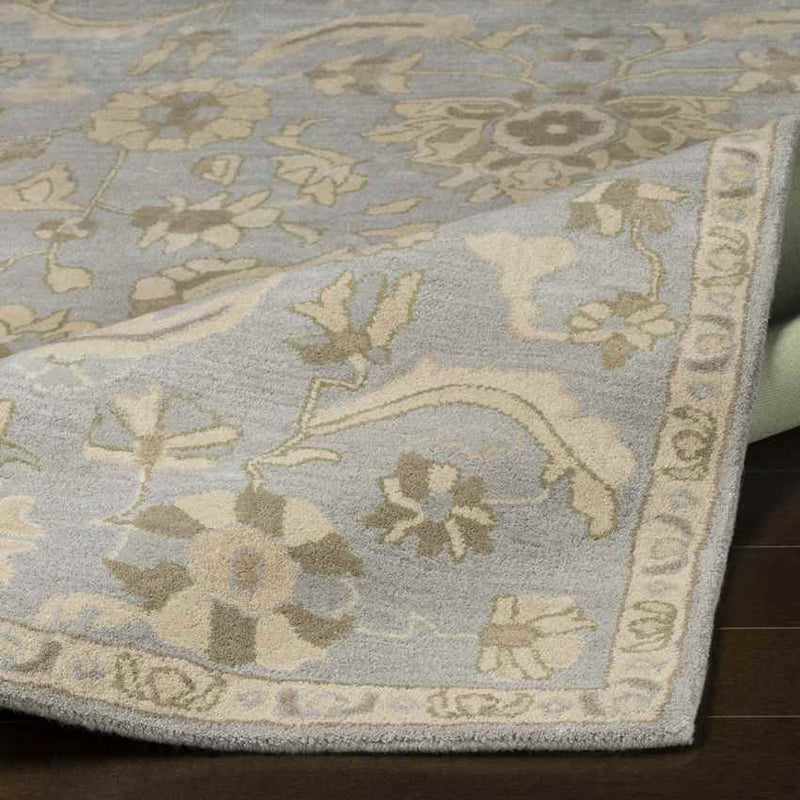 Caraquet Traditional Light Gray Area Rug