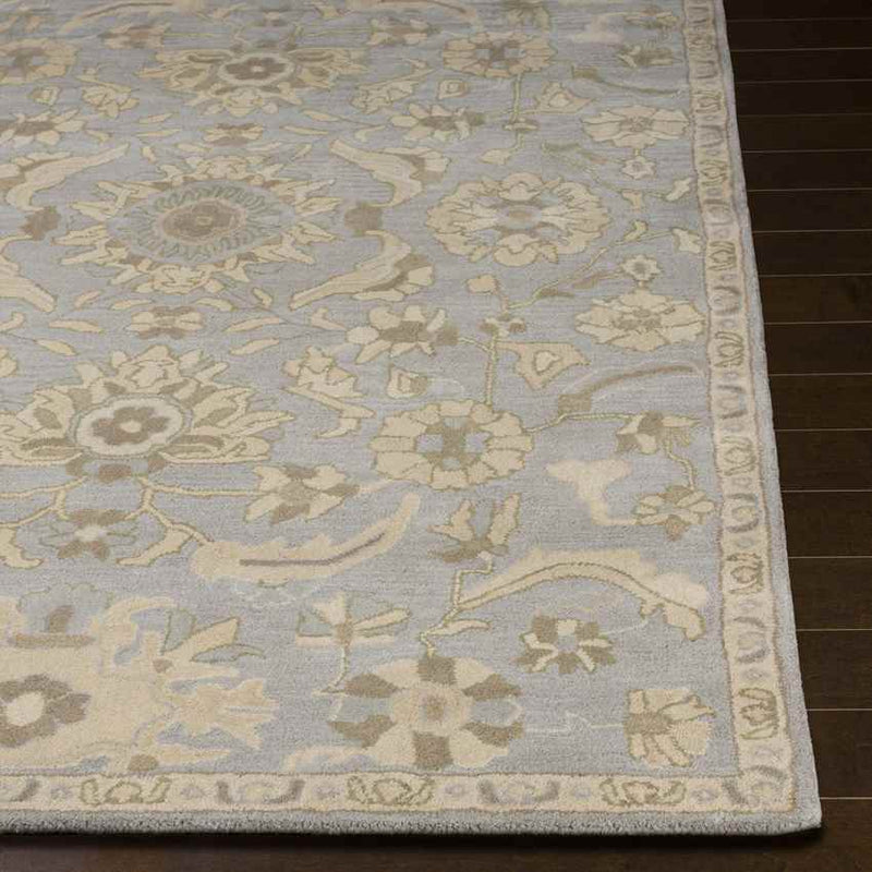 Caraquet Traditional Light Gray Area Rug