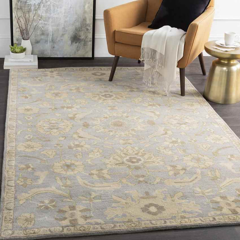 Caraquet Traditional Light Gray Area Rug