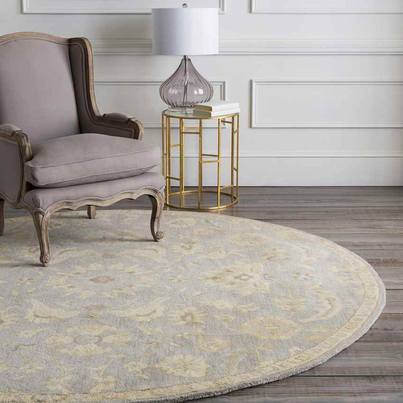 Caraquet Traditional Light Gray Area Rug