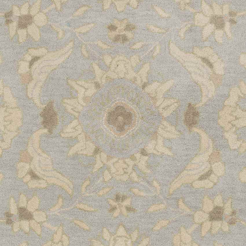 Caraquet Traditional Light Gray Area Rug