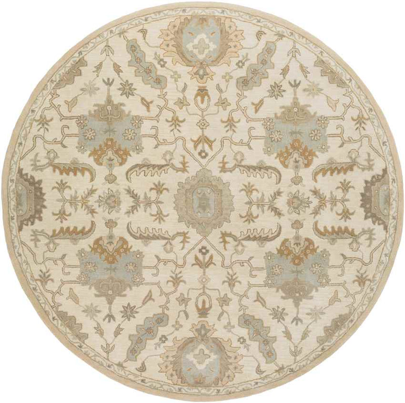 Nackawic Traditional Beige Area Rug