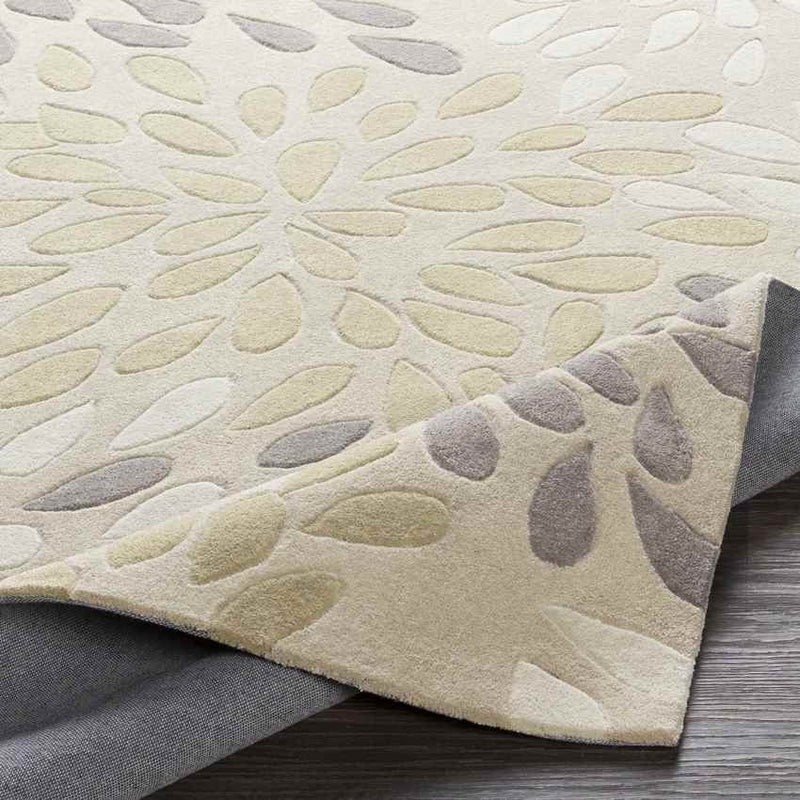 Evry Modern Beige/Tan Area Rug