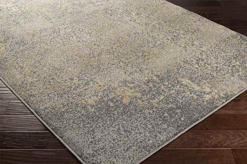 Le Goulet Traditional Medium Gray Area Rug