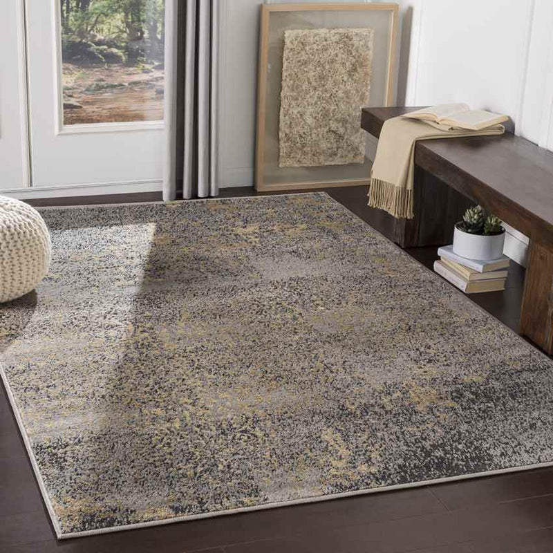 Le Goulet Traditional Medium Gray Area Rug