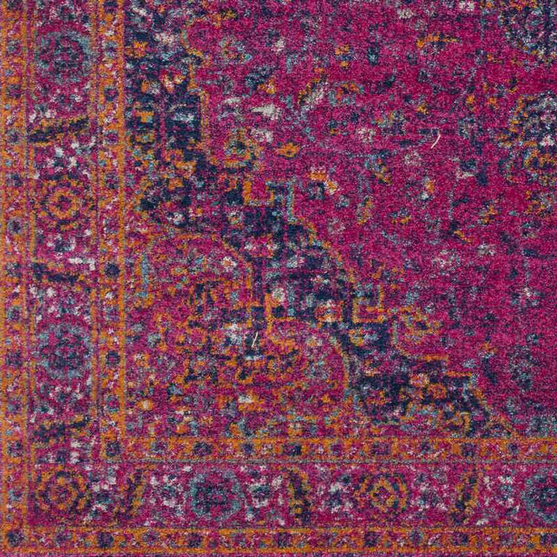 Appleton Traditional Garnet Area Rug