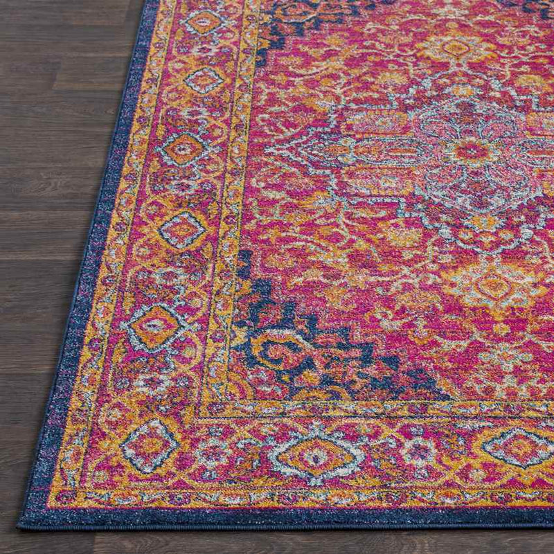 Aquaforte Traditional Garnet Area Rug