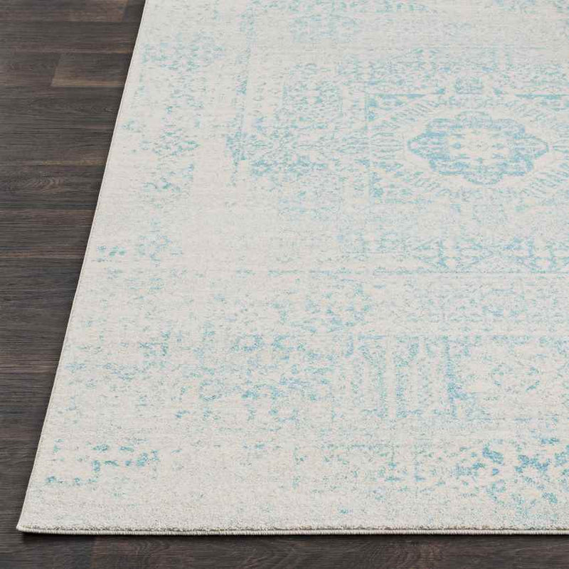 Bay Bulls Traditional Teal Area Rug