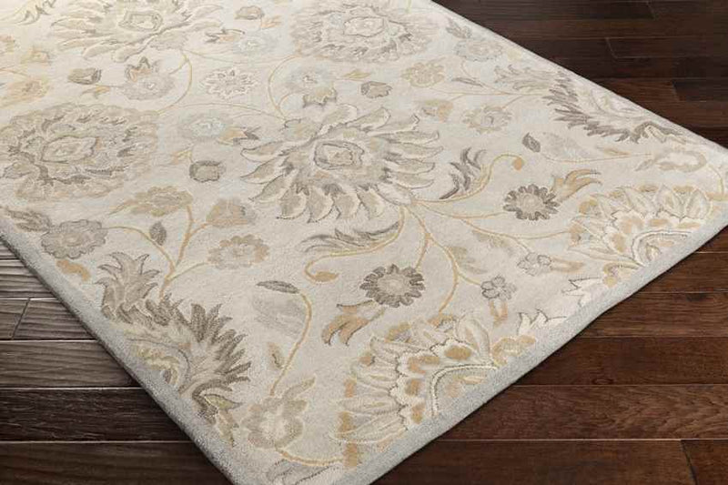 Eckville Traditional Light Gray Area Rug