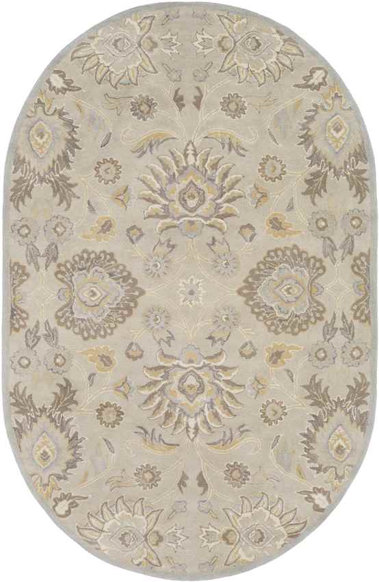 Eckville Traditional Light Gray Area Rug