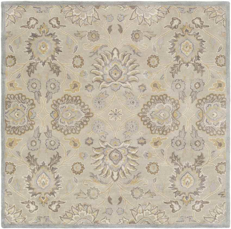 Eckville Traditional Light Gray Area Rug