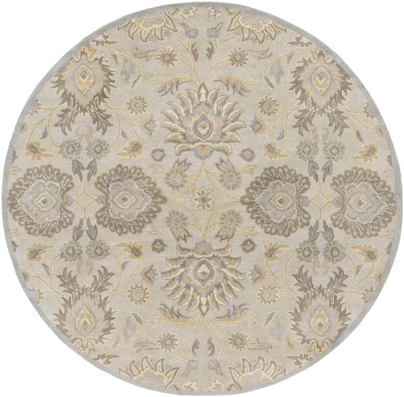 Eckville Traditional Light Gray Area Rug