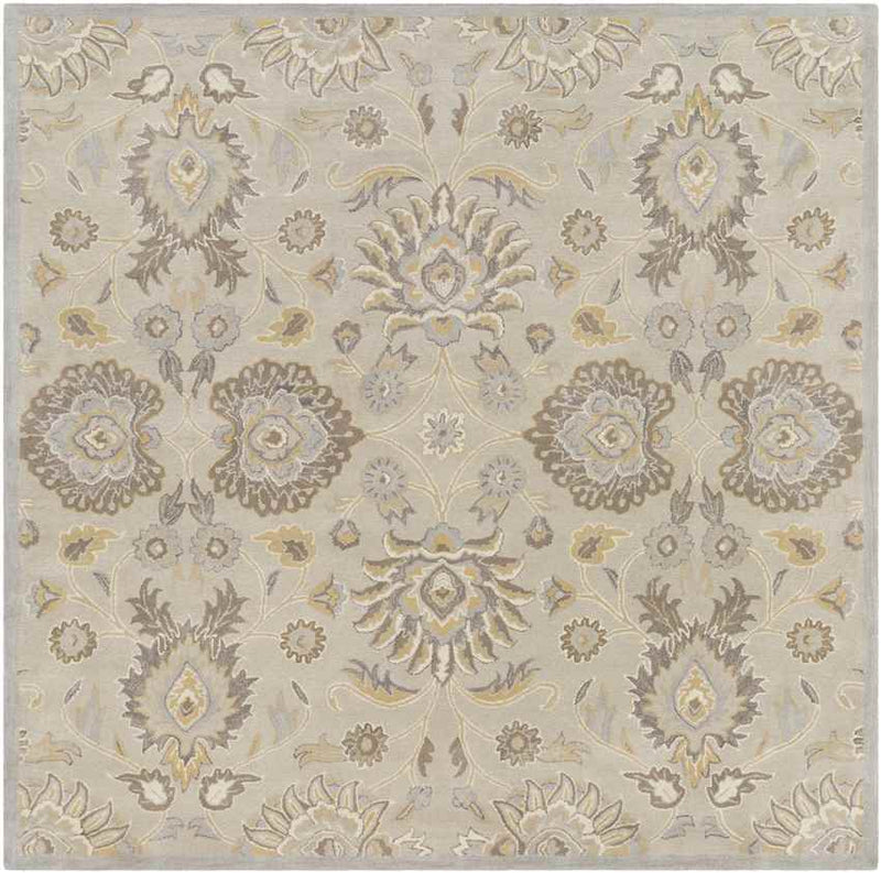 Eckville Traditional Light Gray Area Rug